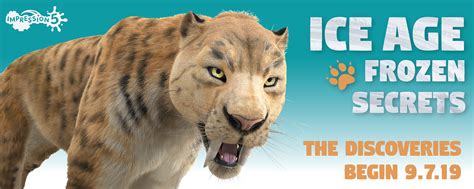 Special Events | IMPRESSION5