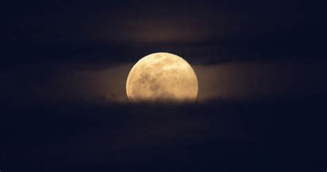 The Next Full Moon Is A Partial Lunar Eclipse A Supermoon The Corn