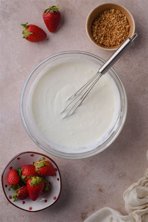 Frozen Yogurt Recipe 2 Ingredients