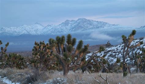 Biden Creates National Monuments In Nevada Texas At Conservation