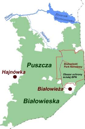 Puszcza Białowieska kalendarium Współczesność Darz Bór