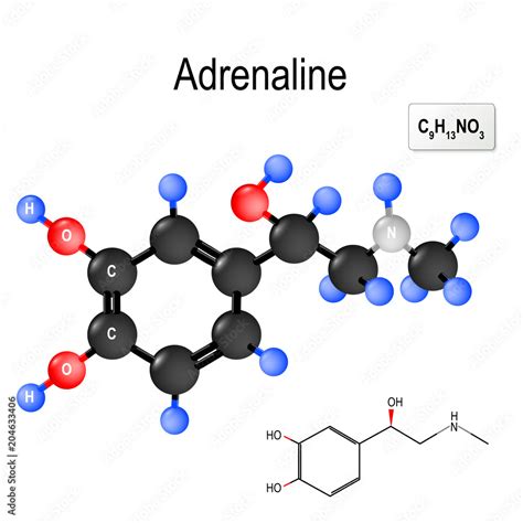 Structural Chemical Formula And Model Of Molecule Of Adrenalin