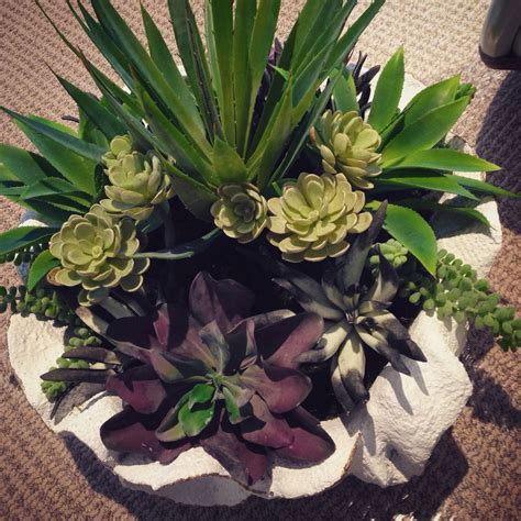 Silk Succulents Make A Great Arrangement By Interior Plant Service In