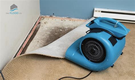 Water Damage Restoration Provo Utah