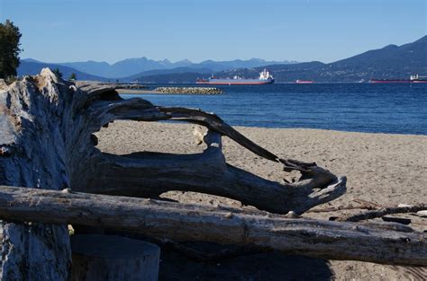 Vancouver: Kitsilano Beach Park | Łosiem po mapie