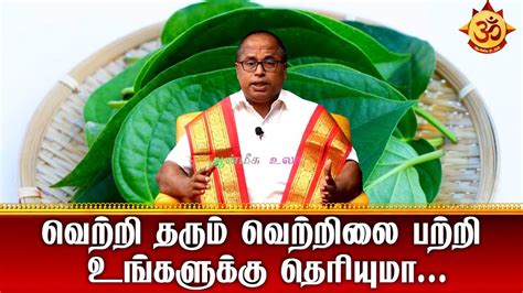 வெற்றி தரும் வெற்றிலை பற்றி உங்களுக்கு தெரியுமா I Aanmiga Ula Youtube