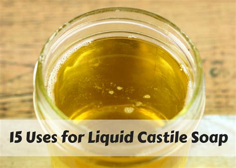 15 Liquid Castile Soap Uses Everything Pretty