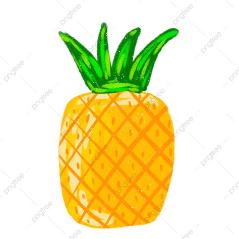 Pineapple Illustration Clipart Transparent Png Hd Hand Drawn Cartoon