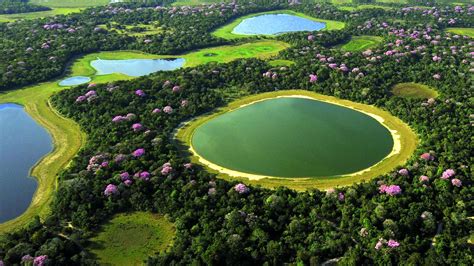 Descubriendo El Pantanal Earthscape Legacy