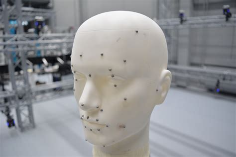 Vicon Motion Capture Perceiving Systems Max Planck Institute For Intelligent Systems