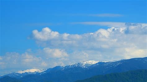 Premium Photo Forest In The Snowy Mountains Snowcapped Mountains And