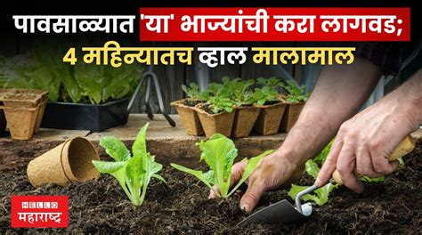 Vegetable Farming पावसाळ्यात या भाज्यांची करा लागवड 4 महिन्यातच व्हाल मालामाल Hello