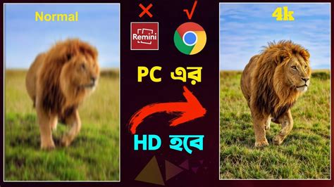 How To Convert Low High Quality 4k Hd Image Remini Something Went