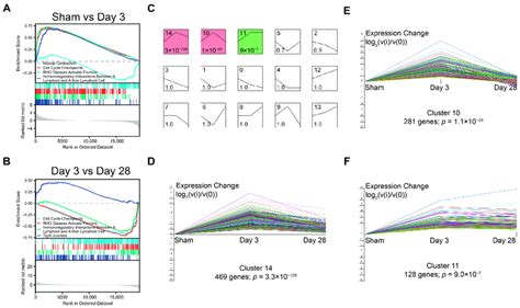 Gsea And The Dynamic Expression Pattern Of Degs Gsea Of A Sham Group