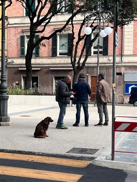 Quer Pasticciaccio Brutto Di Piazza Del Teatro Chiabrera Uomini Liberi