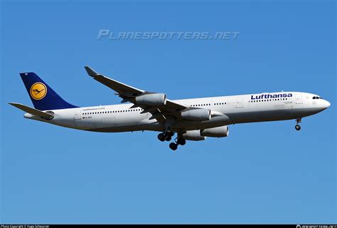 D AIFC Lufthansa Airbus A340 313 Photo By Hugo Schwarzer ID 1148223