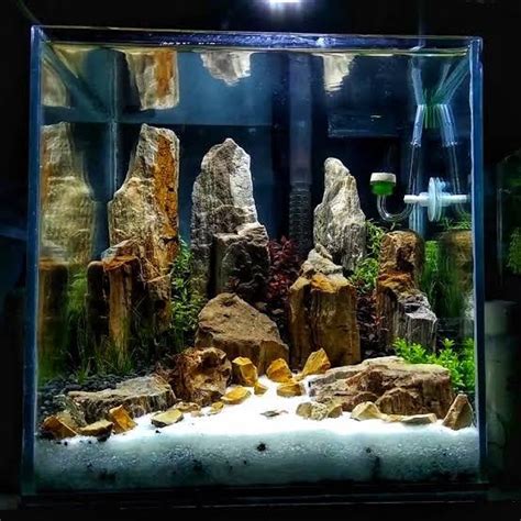 Jual BATU FOSIL KAYU AQUARIUM AQUASCAPE 1 KG BATU DEKORASI AQUASCAPE