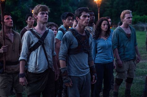 Foto Zum Film Maze Runner Die Auserwählten Im Labyrinth Bild 16 Auf