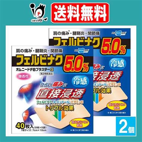 【第2類医薬品】★オムニードfbプラスターα 40枚入×2個セット【テイコクファルマケア】【帝國製薬】肩の痛み、腱鞘炎・関節痛！つらいの通販は