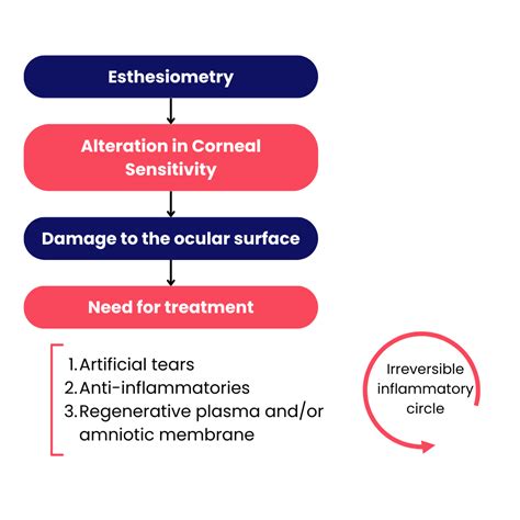 Corneal Esthesiometer Brill Us Brill Us