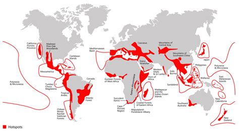 Biodiversity Hotspots - THE TROPICAL CONSERVATION FUND