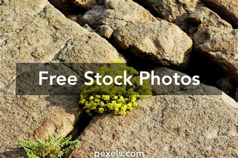 green solid colors      green solid colors