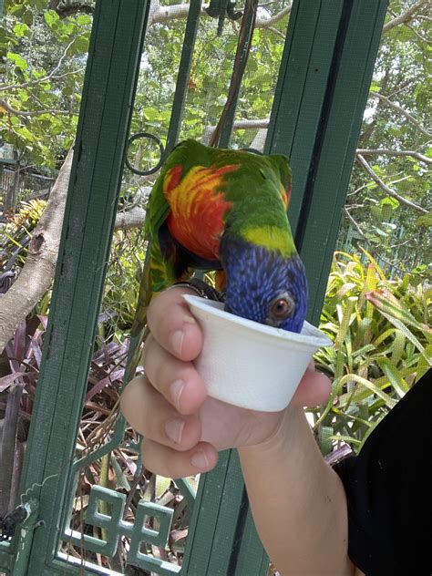 Wild Wonders Animal Encounters - Bonita Wonder Gardens