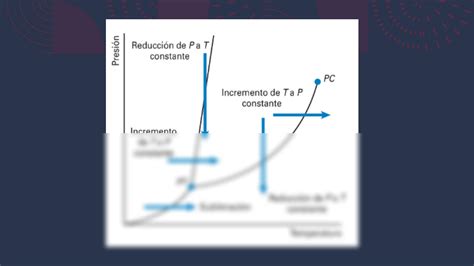 SOLUTION DIAGRAMAS DE FASE PRESENTACIÓN Studypool