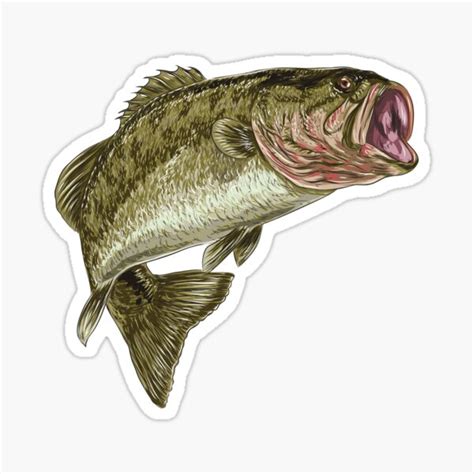 Largemouth Bass Sticker For Sale By Poeticdesign Redbubble