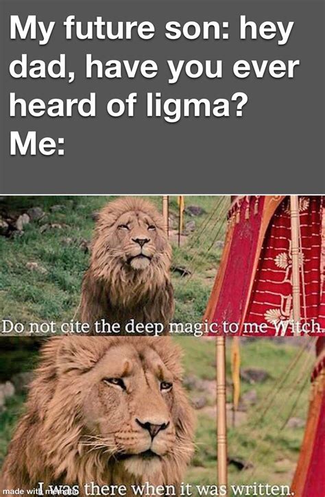 Do Not Recite The Deep Magic To Me Witch I Was There When It Was Written Rmemes