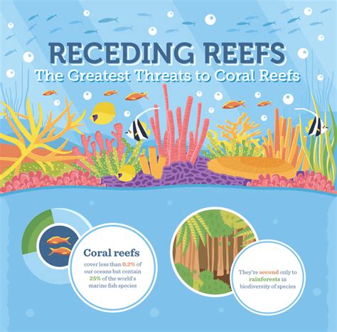 Receding Reefs Understanding And Protecting Our Coral Ecosystems