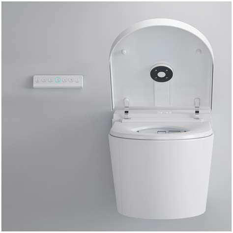 Luxury Concealed Type Ceramic Water Closet With Cistern China Wall