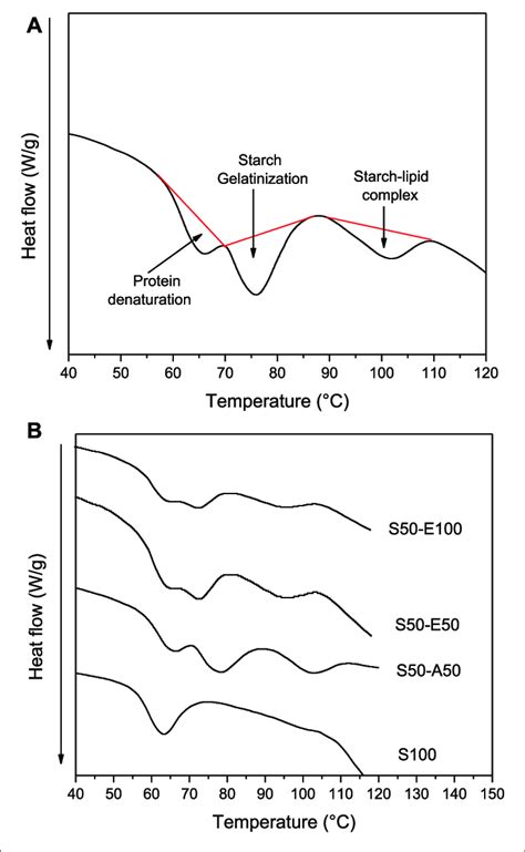 Differential Scanning Calorimetry Dsc Thermograms A Phase Download Scientific Diagram