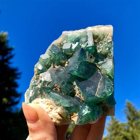 G Standing Green Cubic Fluorite Crystal Cluster Mineral Specimen