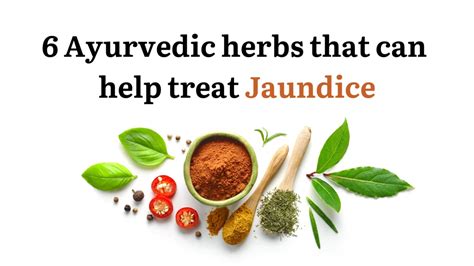 6 Ayurvedic herbs that can help treat jaundice