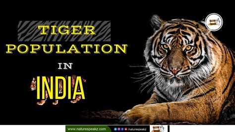 Tiger Population In India