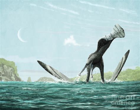 Ornithocheirus Pterosaur Taking Off Photograph By Mark P Witton