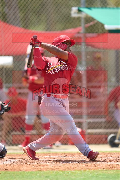 FCL Astros FCL Cardinals Baseball Four Seam Images