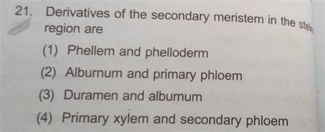 Derivatives Of The Secondary Meristem In The Stese Region Are Filo
