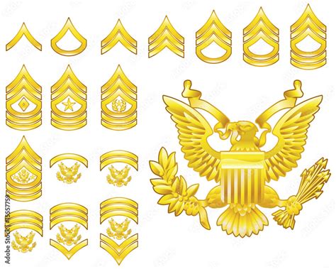 american army enlisted rank insignia icons Stock Vector | Adobe Stock