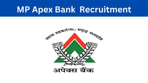 Mp Apex Bank Computer Programmer Financial Analyst Marketing