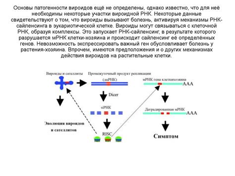 Вироиды. Классификация - презентация онлайн
