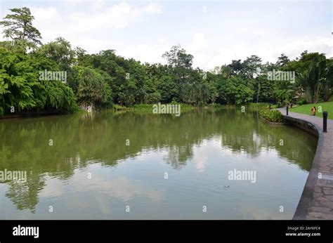 Lake In Singapore Botanic Garden Stock Photo Alamy