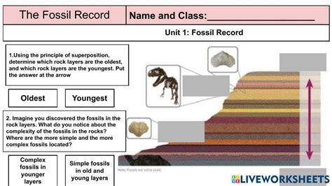 Fossil Record Inspire Science worksheet | Live Worksheets - Worksheets ...