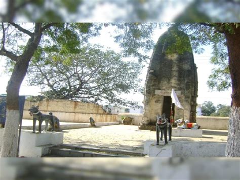 Kukurdev Mandir Of Khapri Balod Unique Temple Where Dog Worship Know