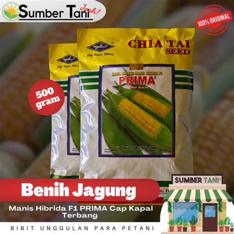 Benih Jagung Manis Hibrida F Prima Kemasan Gr Cap Kapal Terbang