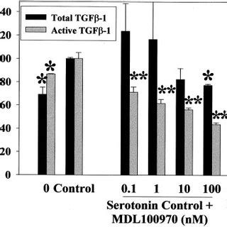 Serotonin Stimulates Phosphorylation Activity Of Extracellular