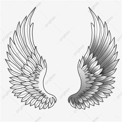Sketsa Garis Sayap Malaikat Clipart Sayap Sayap Malaikat Bersinar