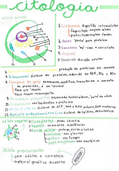 Citologia Celulas Biolog A Celular C Lula Vegetal Ciencias Biologicas