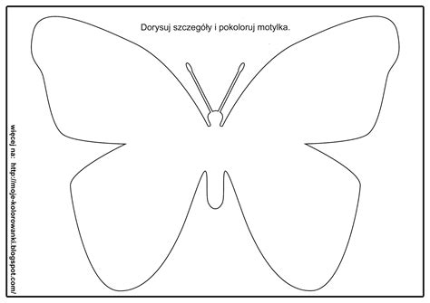 Motyl Cytrynek Kolorowanki